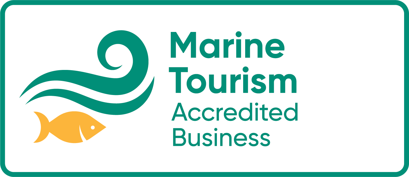 Marine Tourism